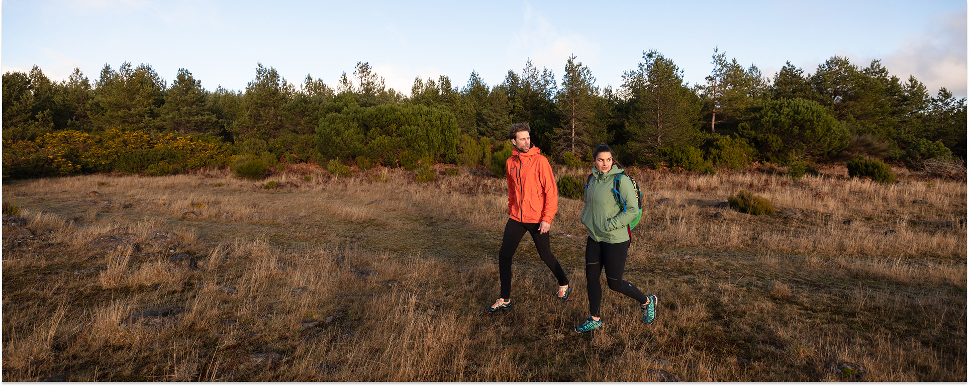 Winterwandeling in Nederland: de mooiste wandelroutes volgens Buitenexperts