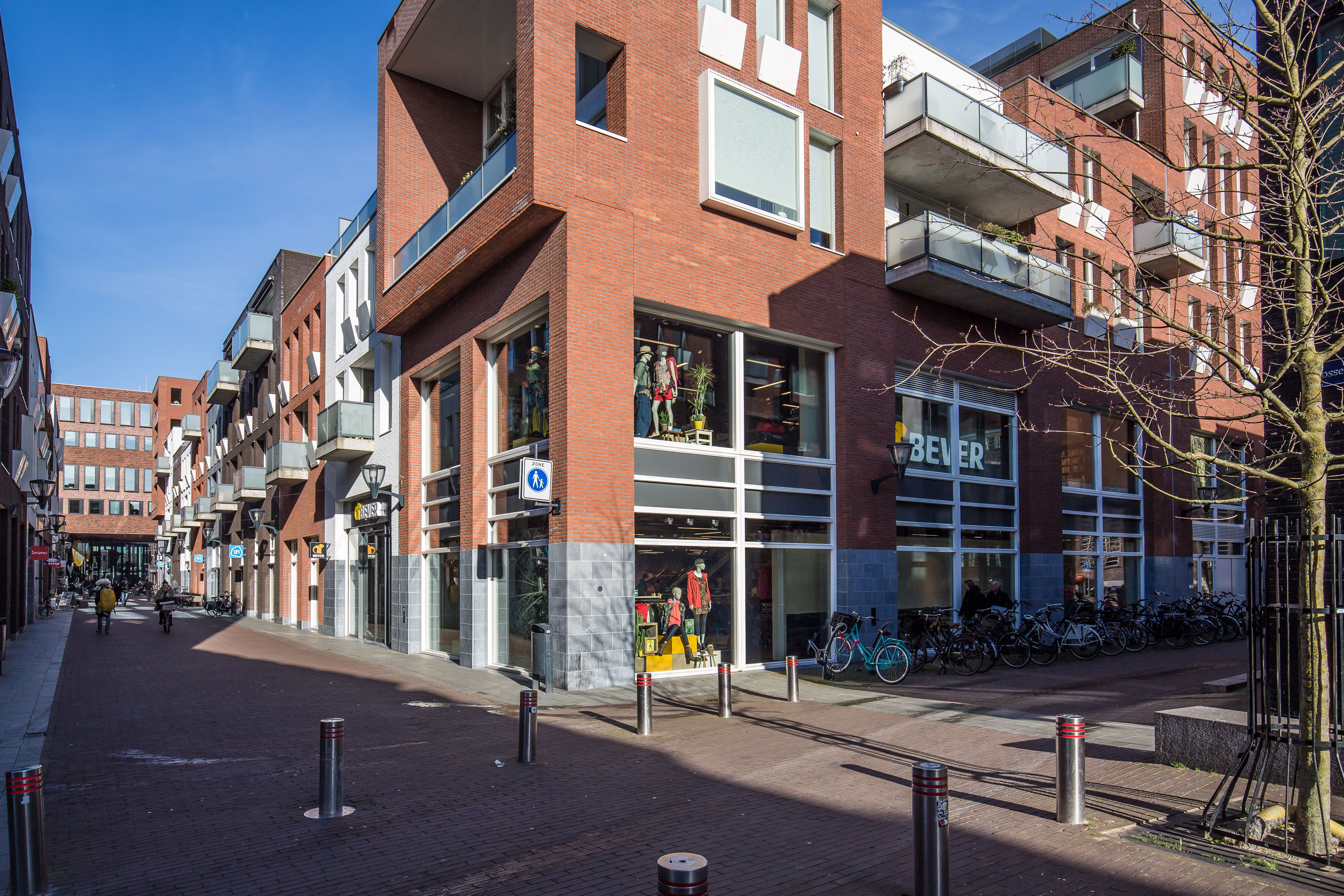 Bever Haarlem