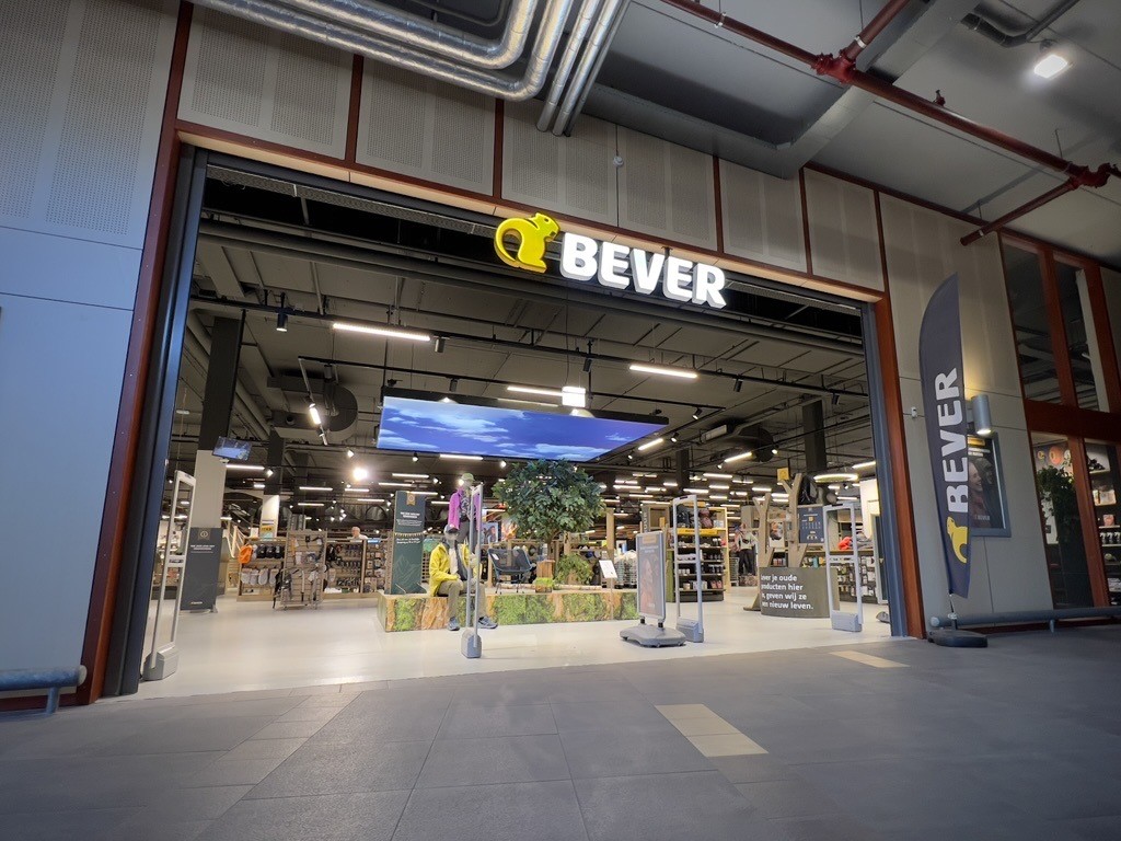 Bever Houten