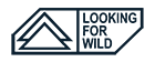 Looking For Wild logo