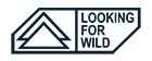 Looking For Wild